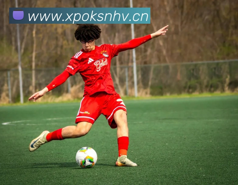 九游官网APP 高清赛事图